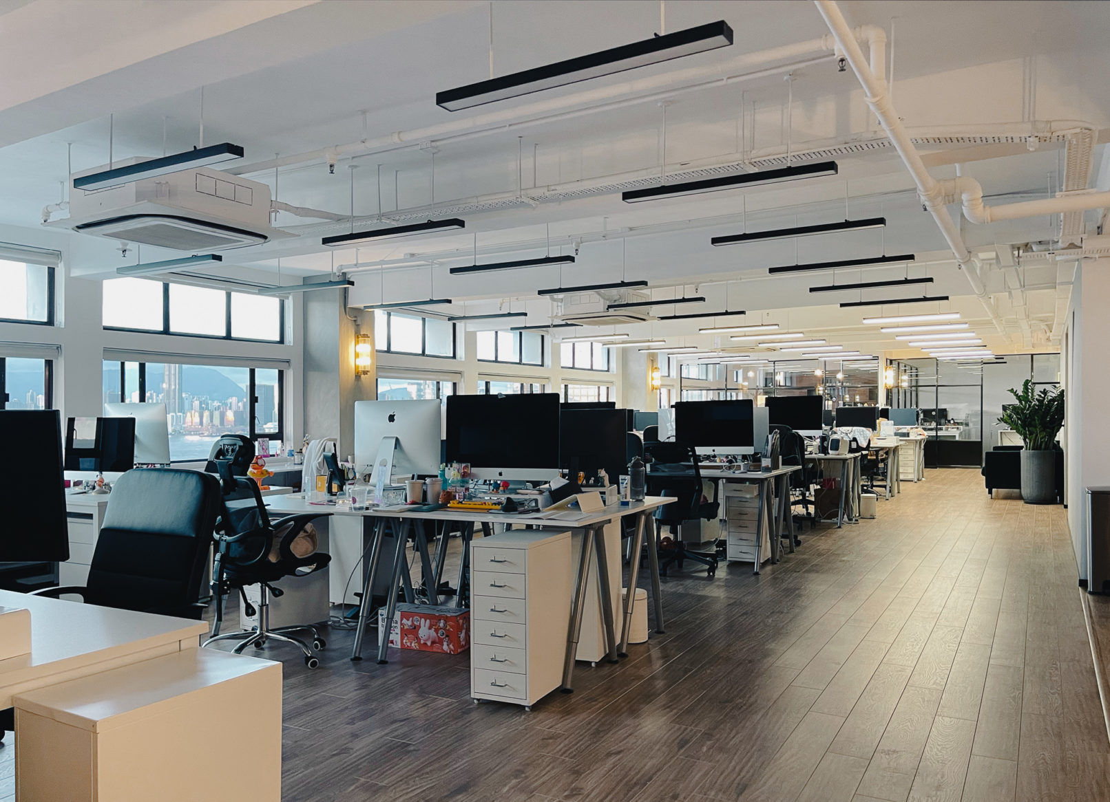 Feva office 2022 work area