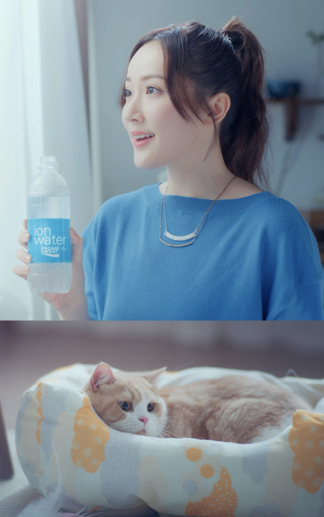 pocari sweat ion water 2023